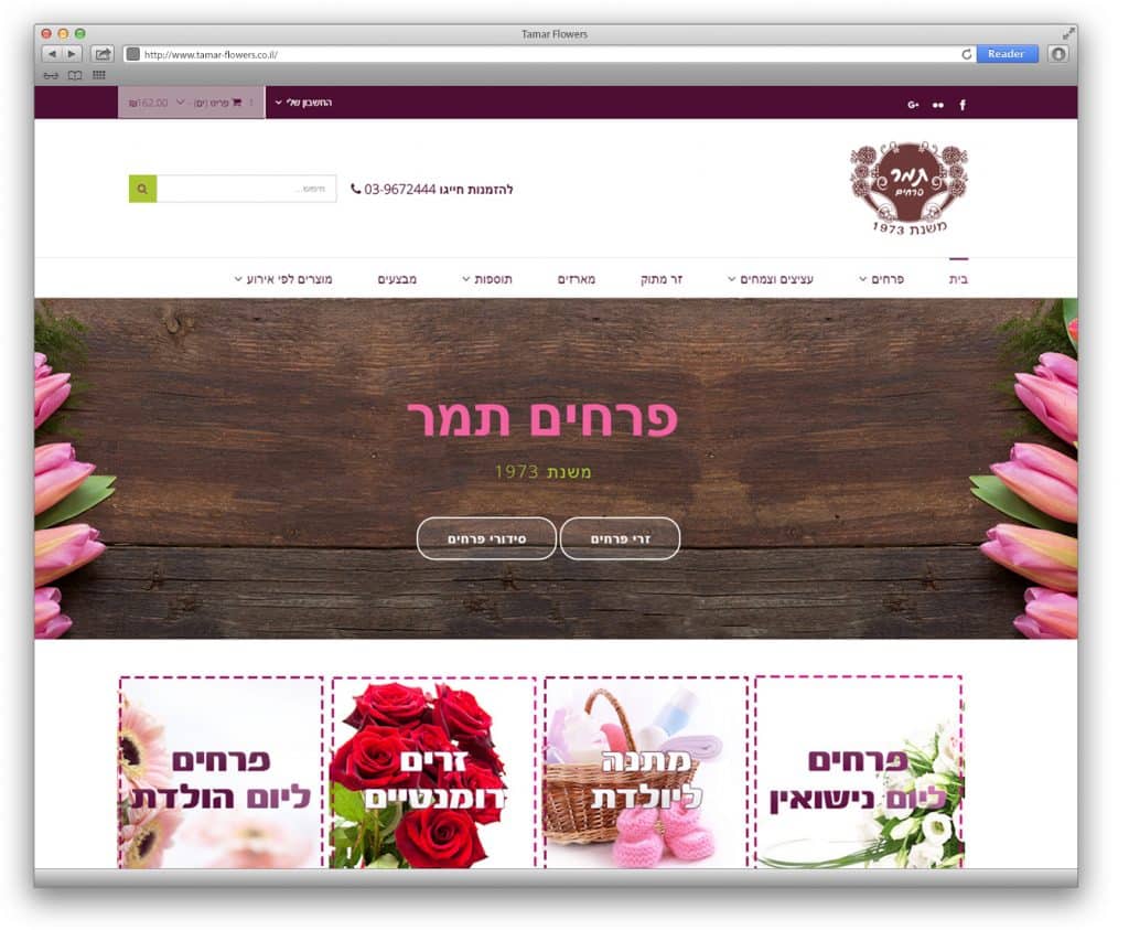 עיצוב ובניית אתר עבור פרחים תמר