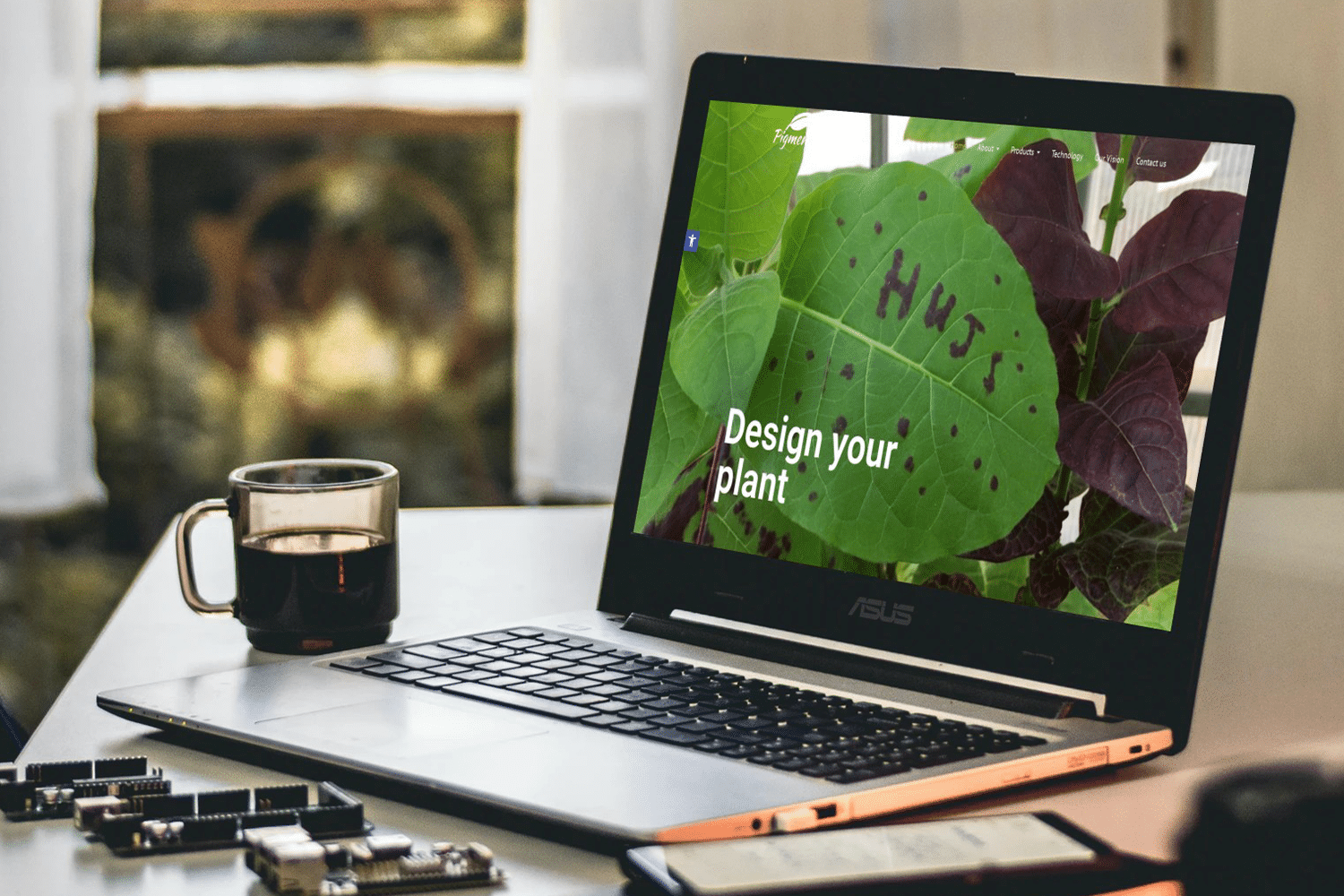 Pigmentum - עבודה של U Digital Studio