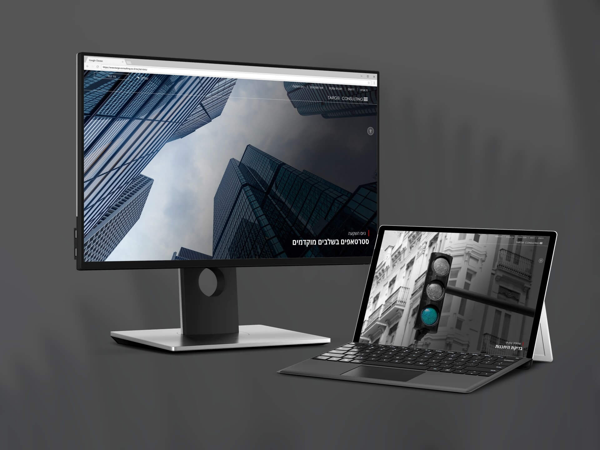 Targo Consulting - אתר תדמית - מסך 2 מהפרויקט